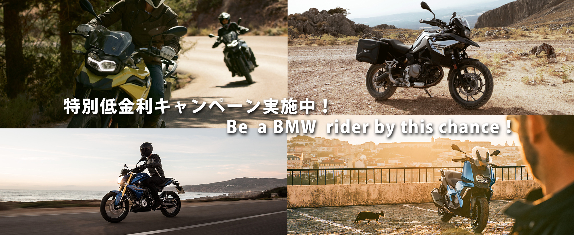 Hanehon 国内4メーカー Bmw Motorrad正規取扱店