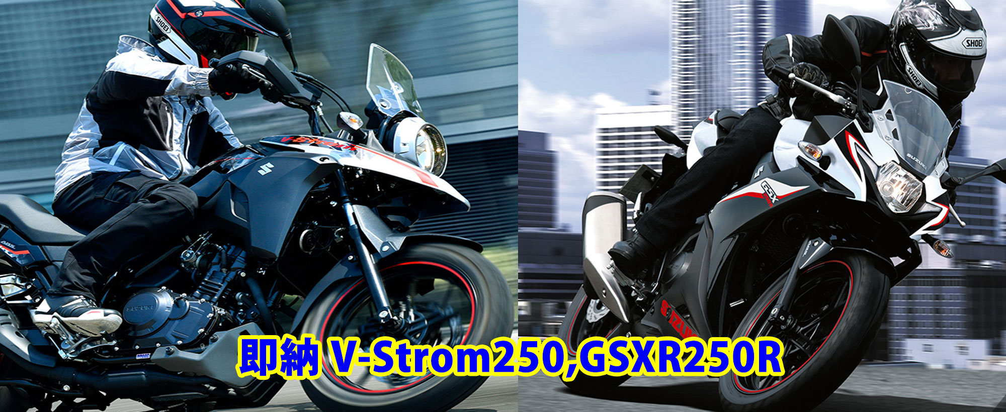 2023_hanehon_slider_Suzuki