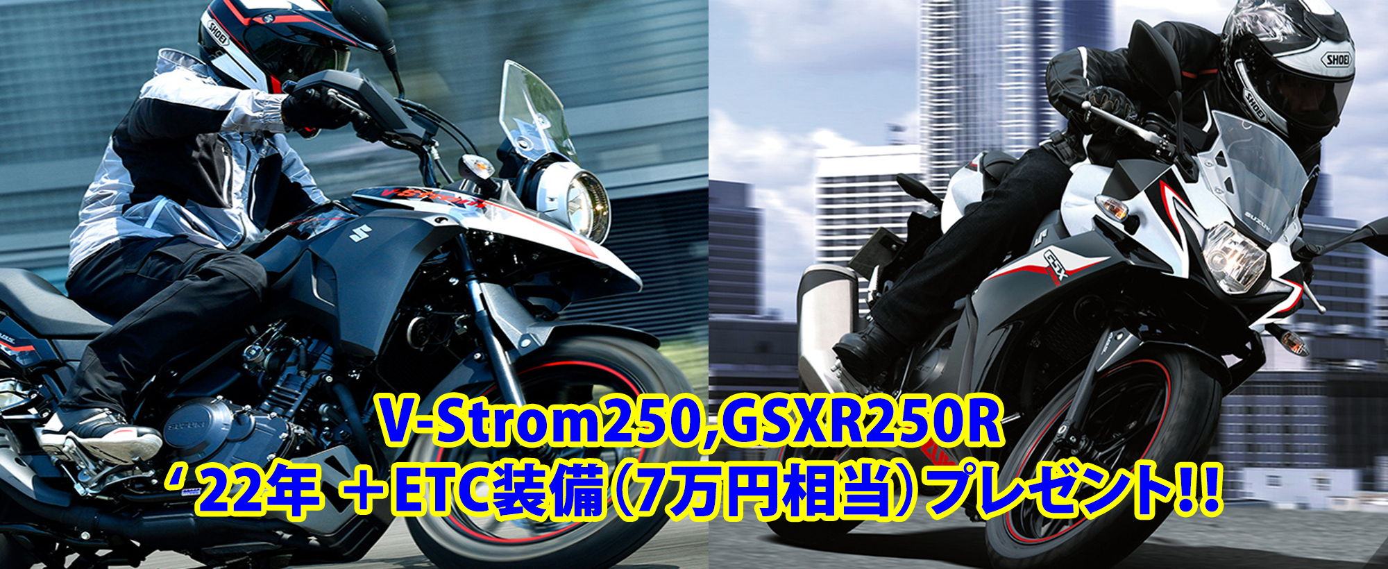 hanehon_new_suzuki